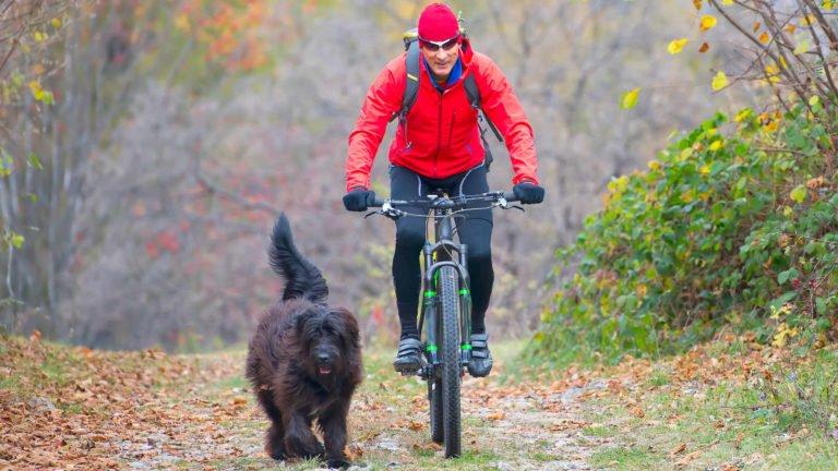 Zusammenstoß mit Fahrrad